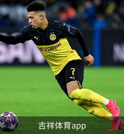 吉祥体育app概况