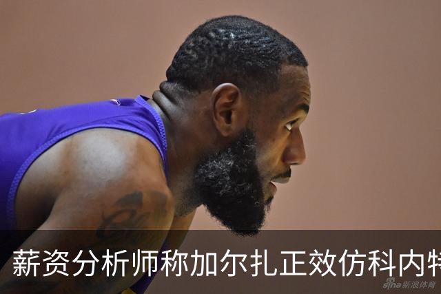 薪资分析师称加尔扎正效仿科内特的成功之路